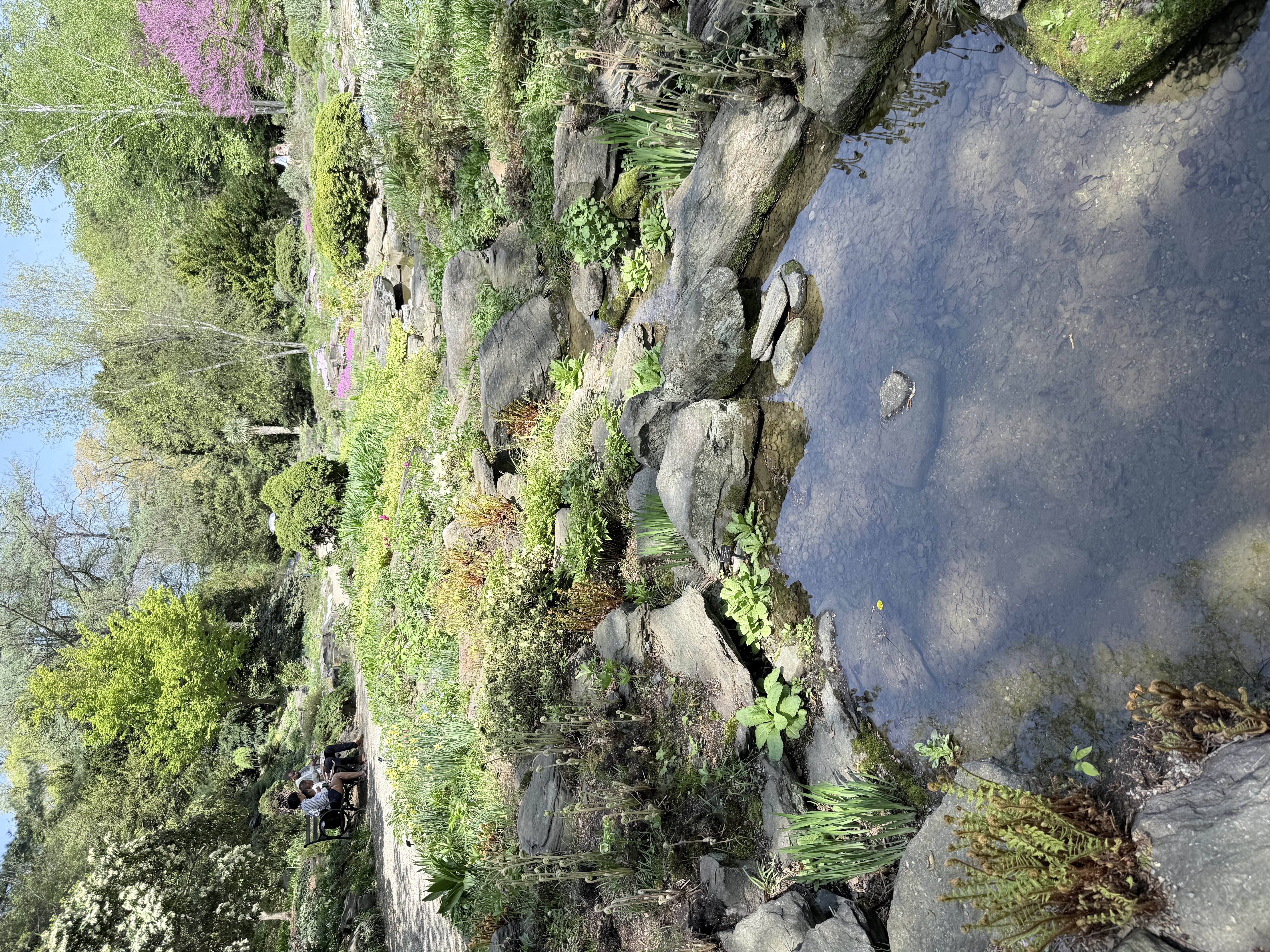 Bronx Botanical Garden