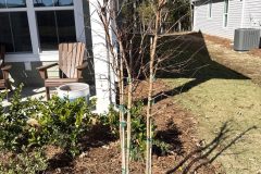 IMG_11A69C9F-8235-4A1C-AB11-29EBD88D0A06-rotated