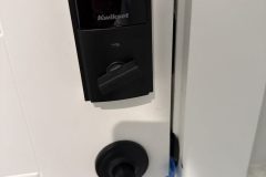 IMG_39872D9C-65A2-4FF3-AB53-68B8F3239A70-rotated