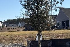 IMG_40B29FDE-4372-42FF-B3A7-871333B881A4-rotated